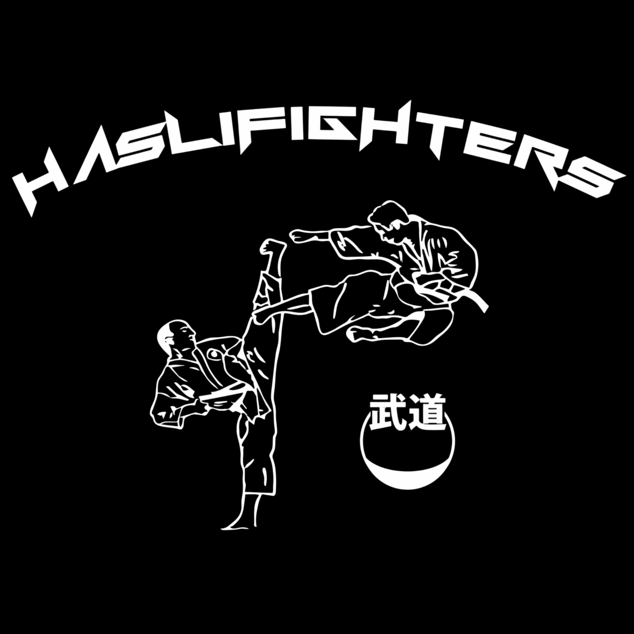 Karate Kickboxing Meiringen/Spiez logo